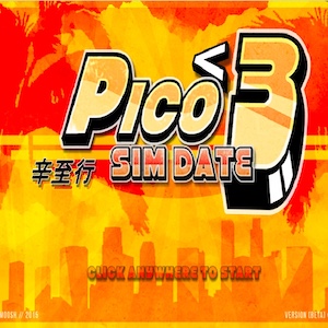 Pico Sim Date 3