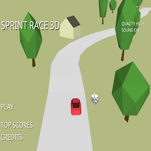 Sprint Race 3D